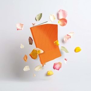 Tarihsiz Defter - İstinye-MR